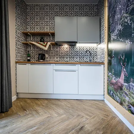 Apartment Hyrczyk Zab